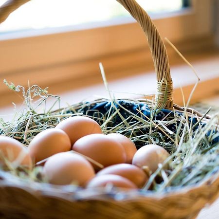Innertrein كاديبيترا المظهر الخارجي الصورة